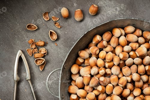 Preview: Hazelnuts