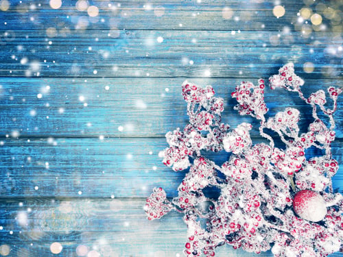 Preview: Winter Christmas Background With Fir Branches Cones And Snow On Blue Wooden Texture