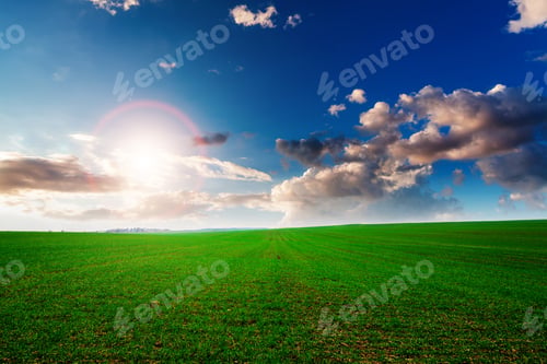 Preview: Green Field,Blue Sky And Sun.