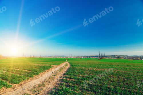 Preview: Green Field And Beautiful Sunset