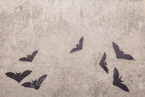 Preview: Halloween Decoration Concept - Black Bats On Gray Stone Concrete Background. Wallpaper, Backdrop
