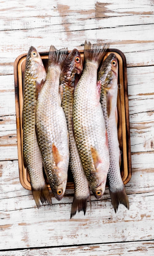 Preview: Fish Market Concept.Fresh Fish With Ingredients For Cooking
