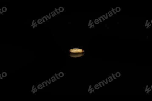 Preview: One Whole Unpeeled Sesame Seeds Isolated On Black Glass
