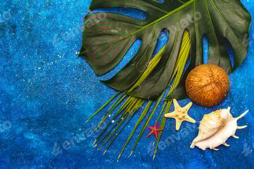 Preview: Travel And Vacation Concept. Summer 2020 Background With Monstera Leaf, Seashells And Marine