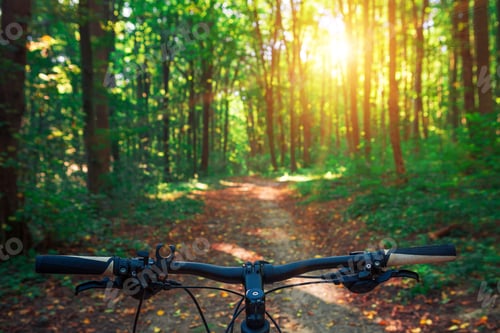 Preview: Mountain Biking Down Hill Descending Fast On Bicycle. View From Bikers Eyes.