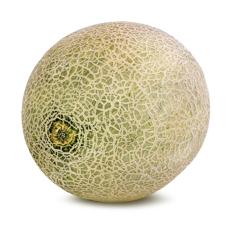 Preview: Melon Isolated On White Background