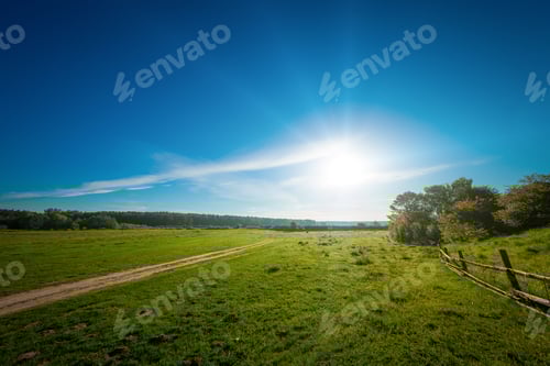 Preview: Foggy Morning Shiny Summer Landscape With Mist And Green Meadow