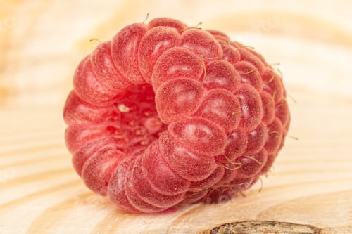 Preview: One Whole Fresh Crimson Raspberry Isolated On White Background