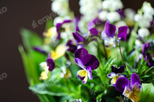 Preview: Spring Bouquet Closeup