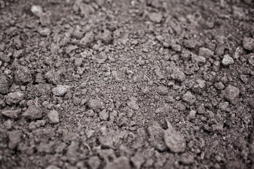 Preview: Cultivated Garden Moist Top Soil Background With Clay And Sand Dominant Components