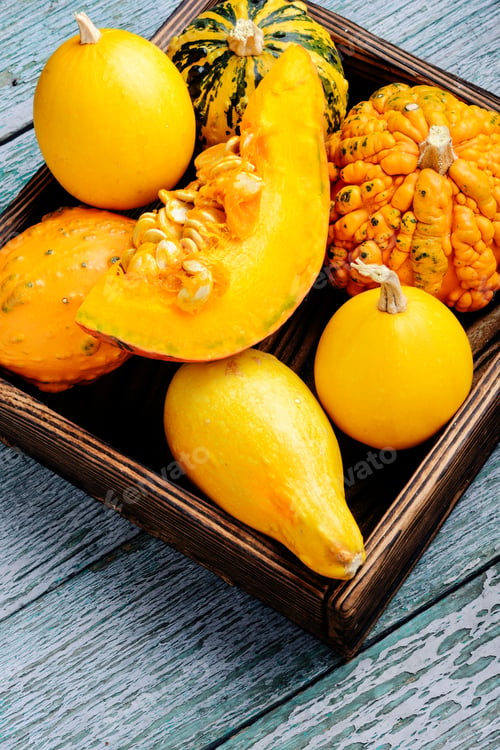 Preview: Autumn Seasonal Background With Pumpkinsin Box.Autumn Nature Concept.Harvesting