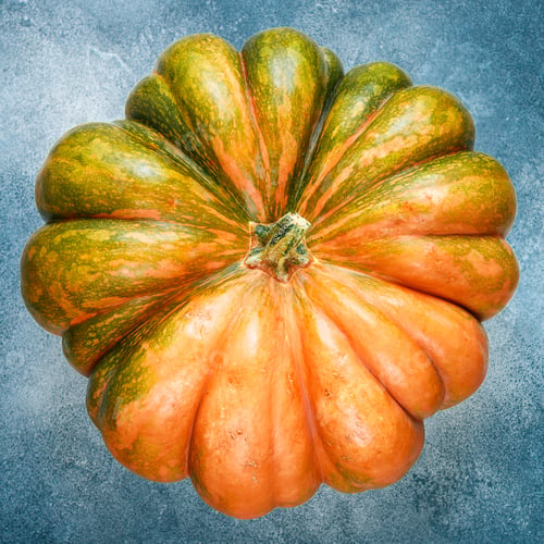 Preview: Large Ripe Organic Pumpkin On A Concrete Background. Healthy Food, Diet, Vegetarian. Selective