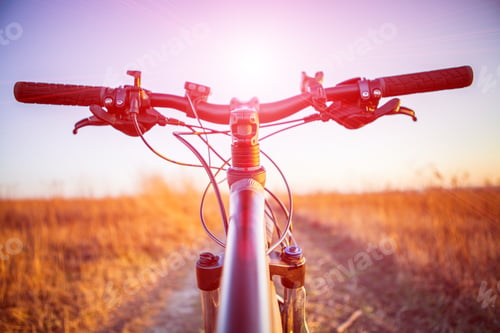 Preview: Mountain Biking Down Hill Descending Fast On Bicycle. View From Bikers Eyes.
