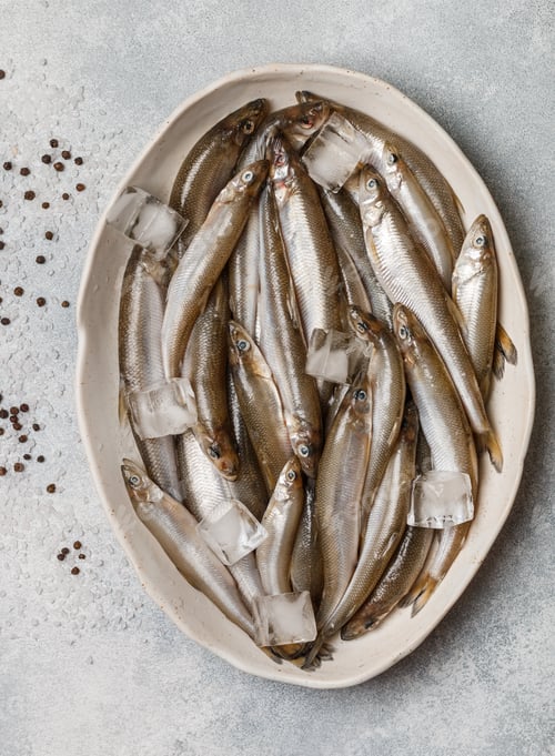 Preview: Smelt. Fresh Raw Sea Small Fish. Selective Focus