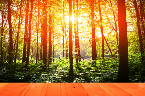 Preview: Wood Textured Backgrounds