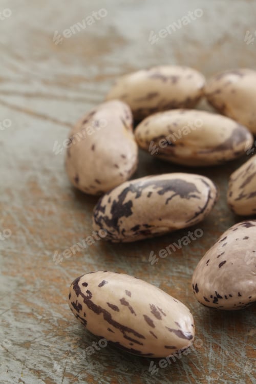 Preview: Fresh Raw Borlotti Beans