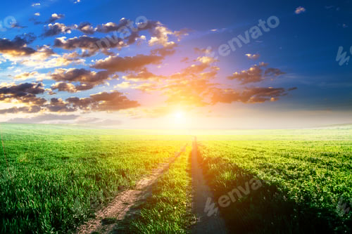 Preview: Green Field And Beautiful Sunset