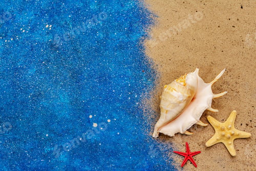 Preview: Seashells Summer Background. Lots Of Different Seashells Piled Together, Sea Star. Navy Blue