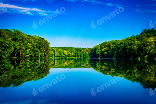Preview: Picturesque Forest And The River