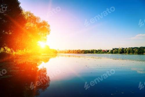 Preview: Picturesque Forest And The River