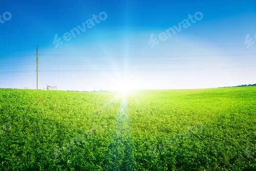 Preview: Green Field And Beautiful Sunset
