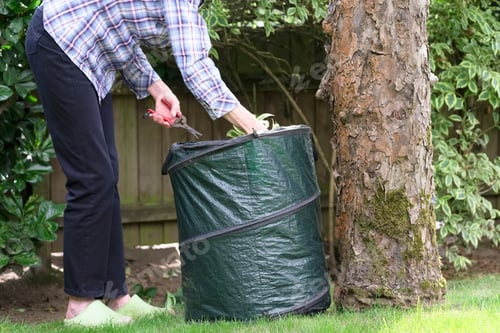 Preview: Collapsible Garden Cut Grass And Leaves Bin With Gardener Trimming Hedge Bush And Tree