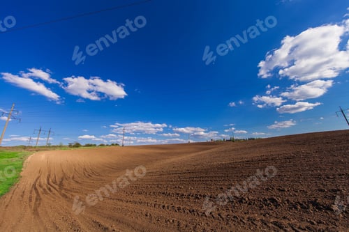 Preview: Green Field And Beautiful Sunset