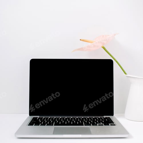 Preview: Laptop And Pale Pink Anthurium Flower In White Watering Can Near White Background. Front View