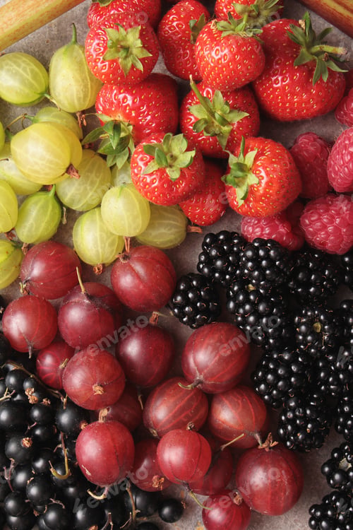 Preview: Fresh Summer Fruit Selection
