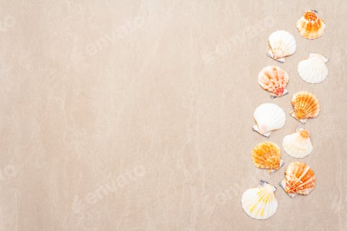Preview: Seashells Summer Background. Lots Of Different Seashells Piled Together, Top View, Copy Space, Frame