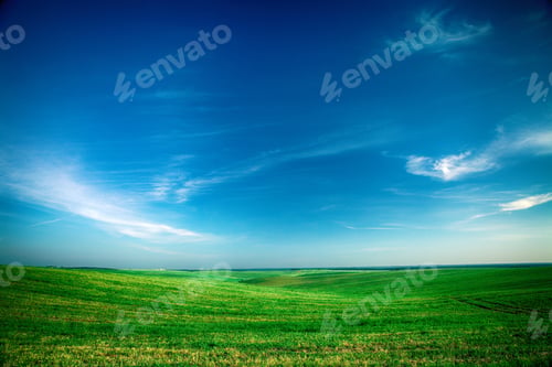 Preview: Beatiful Morning Green Field With Blue Heaven