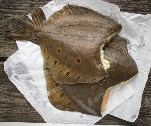 Preview: Freshly Caught Flounder On White Paper
