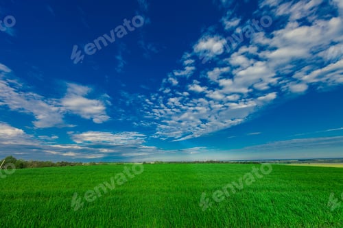 Preview: Green Field And Beautiful Sunset