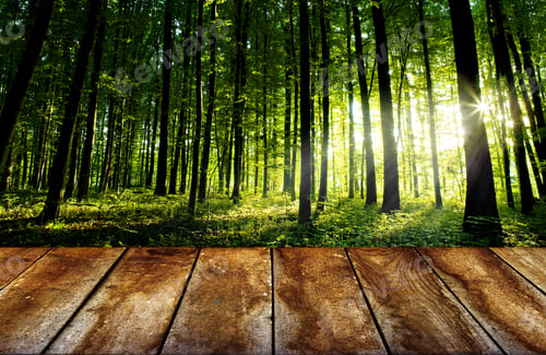 Preview: Wood Textured Backgrounds In A Room Interior On The Forest Backgrounds