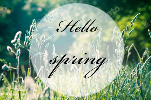 Preview: Hello Spring. Beatiful Morning Green Forest