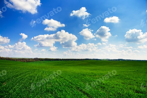 Preview: Beatiful Morning Green Field With Blue Heaven