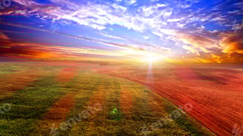 Preview: The Green Field Is At Sunset Shot With The Drone