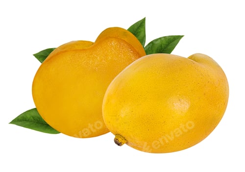 Preview: Mango Fruit Isolated On White Background