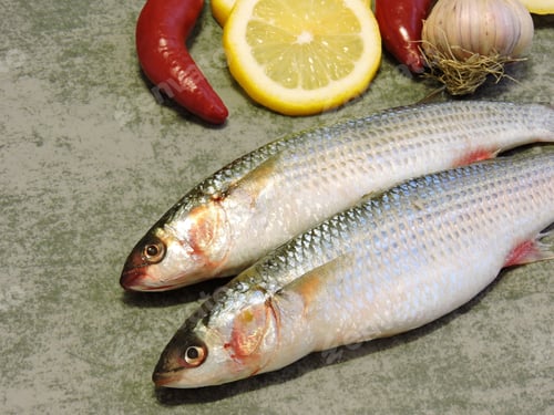Preview: Mullet Lemon Garlic. Copy Space.