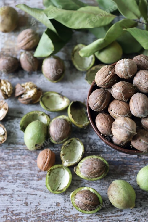 Preview: Walnuts. Harvest Walnuts. Selective Focus. Macro.