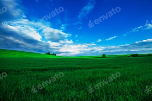 Preview: Green Field And Beautiful Sunset
