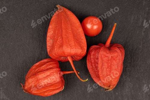 Preview: Group Of Four Whole Fresh Orange Physalis Flatlay On Grey Stone