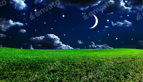 Preview: Green Night Field. Star Sky