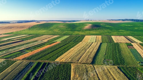 Preview: Drone With A Camera On A Green Field.