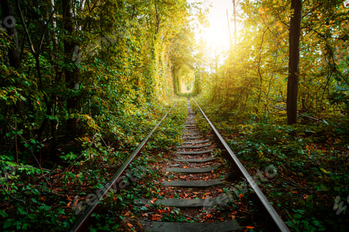 Preview: A Railway In The Spring Forest Tunnel Of Love