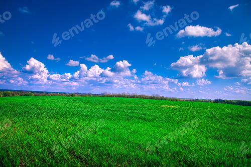 Preview: Beautiful Morning Green Field With Blue Heaven