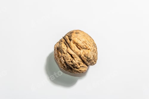Preview: Single Walnut Isolated On White Background. Healthy Food Concept, Vegan Or Vegetarian Lifestyle. A
