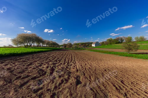 Preview: Green Field And Beautiful Sunset