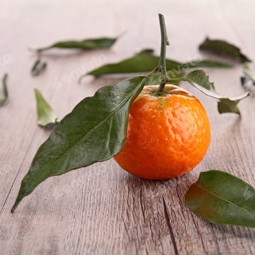 Preview: Mandarin Fruit Or Tangerine