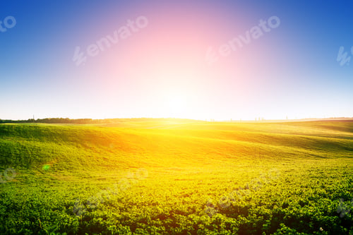 Preview: Green Field And Beautiful Sunset